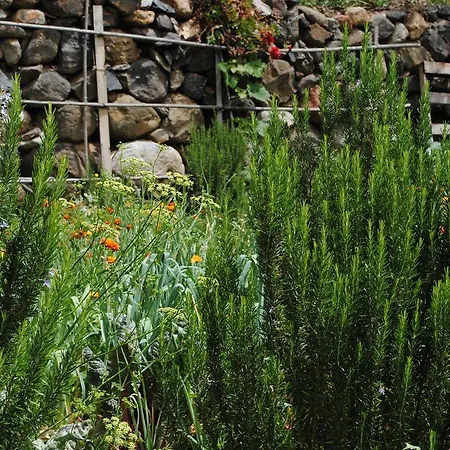 Casa Amaya 巴列埃尔莫索