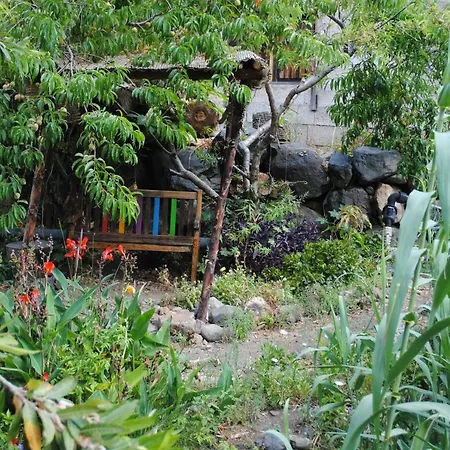 Casa Amaya Guest house